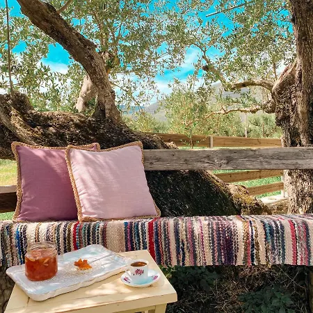 Olivar House Holiday home