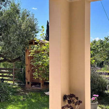 Olivar House Alykes (Zakynthos)